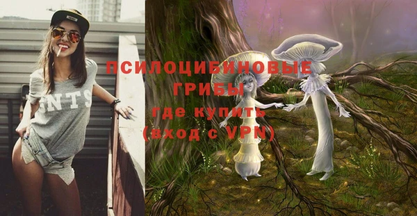 apvp Арсеньев