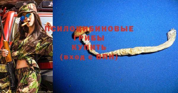 apvp Арсеньев