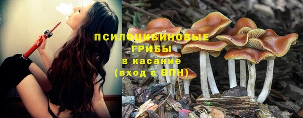 не бодяженный Армянск