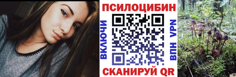 KRAKEN зеркало  Ельня  Псилоцибиновые грибы ЛСД 